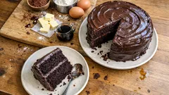 Easy Chocolate Fudge Cake — one-bowl sponges with smooth cocoa icing